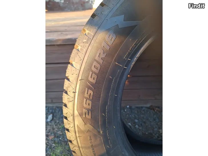 Myydään Vinterringar