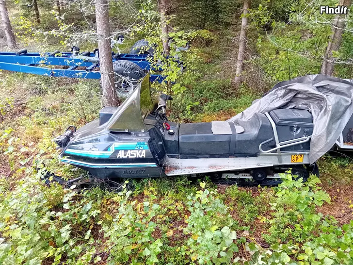 Säljes Aktiv Alaska