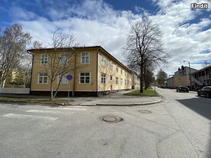 Vuokrataan Yksiö Palosaari