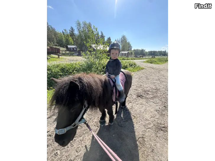 Myydään Ponnylek på Riback Stall
