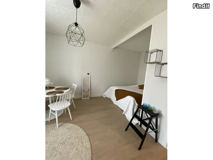 Vuokrataan Vuokrataan 2h+kk+alkovi