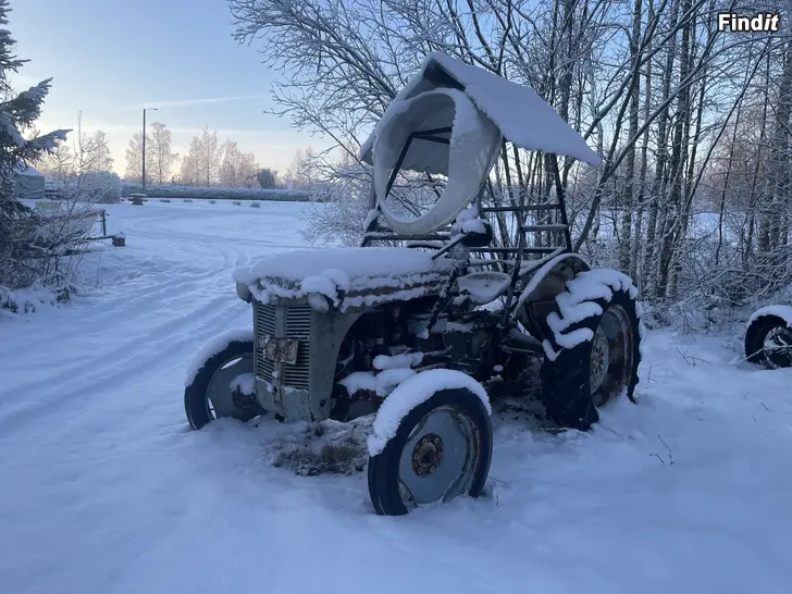 Säljes Ferguson TE20 Grålle