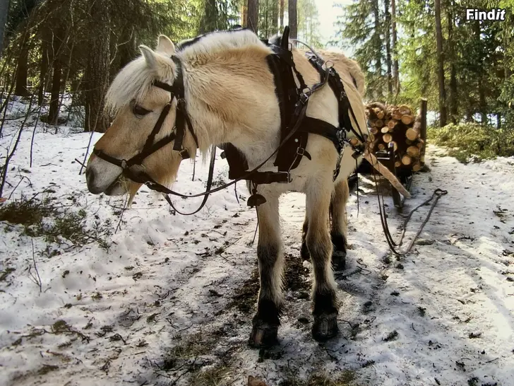 Säljes Tärnsjösele