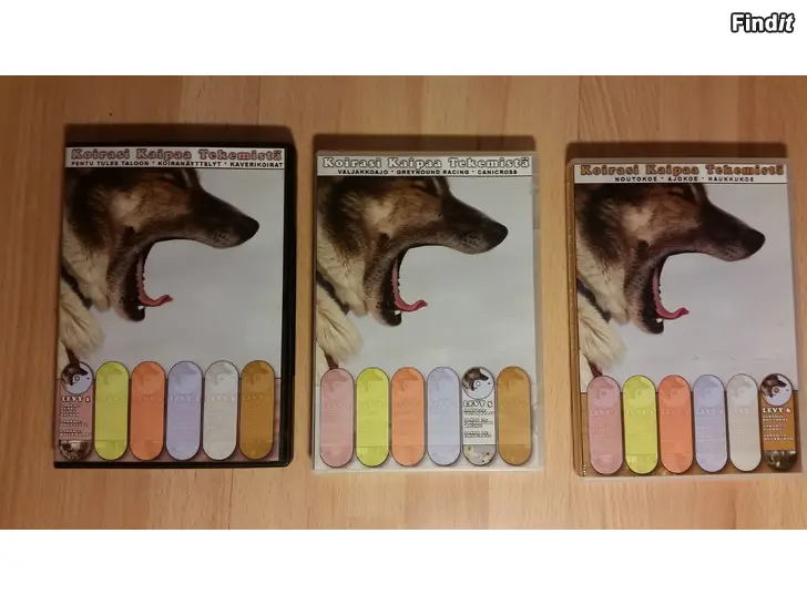 Myydään Koirasi kaipaa tekemistä 3kpl DVD 5e