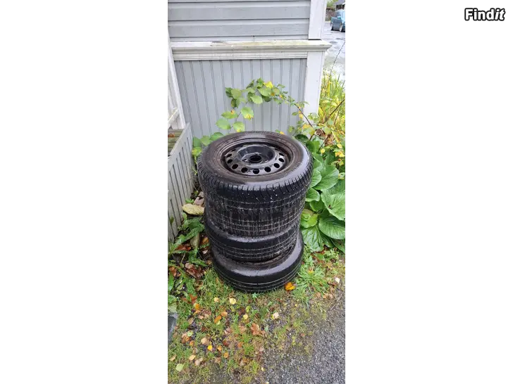 Myydään Kesärenkast peltivanteilla