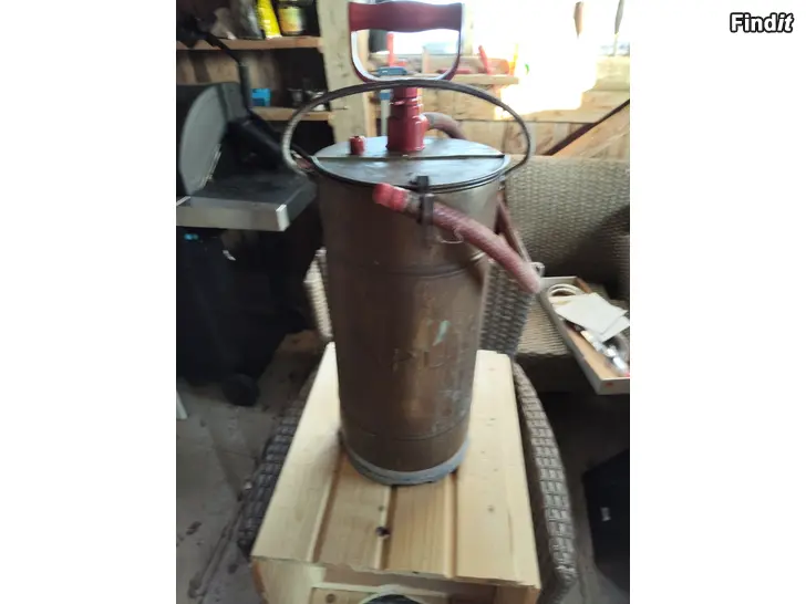 Myydään Paloruisku