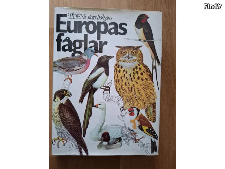 Säljes Europas fåglar