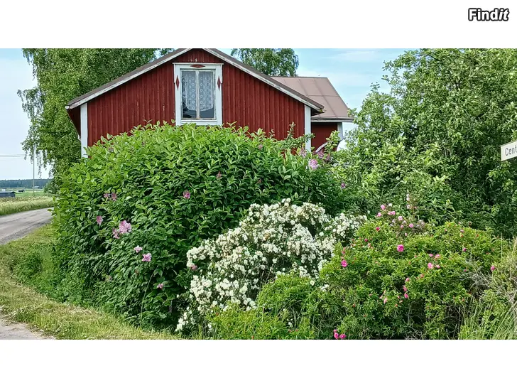 Säljes Mummon mökki kesäpaikka