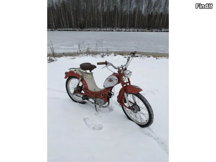 Säljes Jupiter regulus