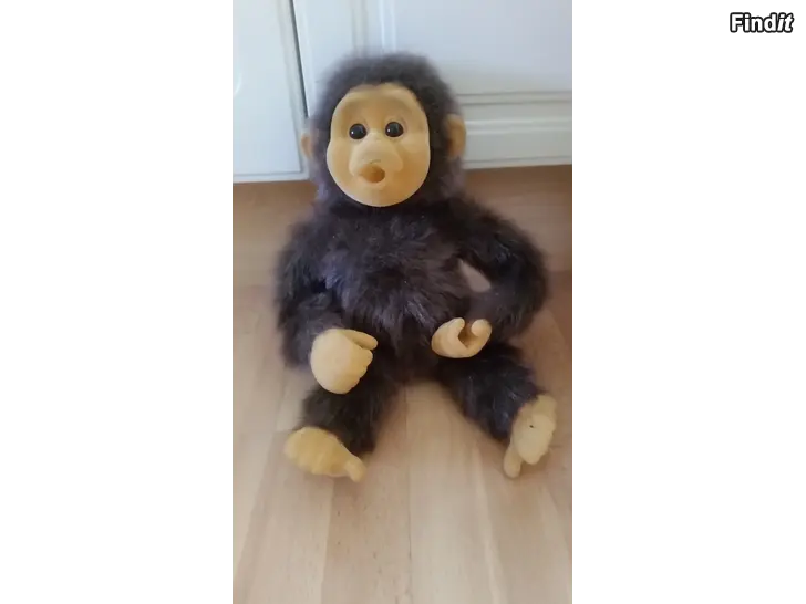 Myydään Little Monkey Lost -apina -hinta 9e