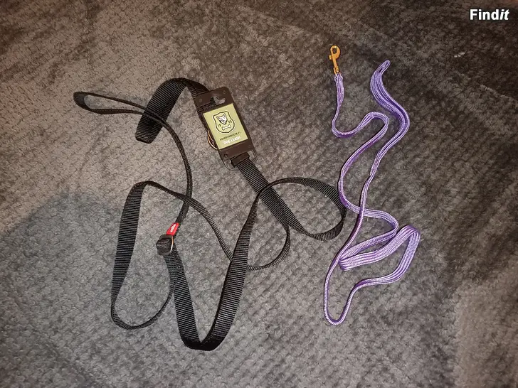 Myydään Koiran hihnat ja pannat