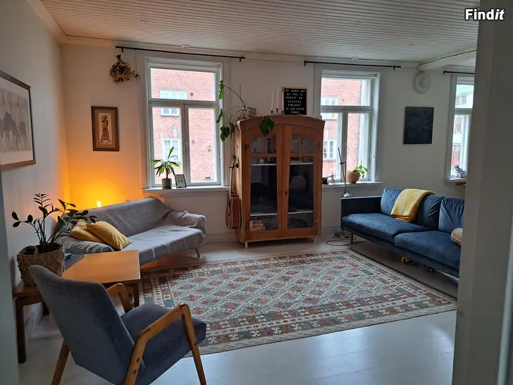 Uthyres 100m2 i centrum av Vasa uthyres från mitten av augusti till sista september