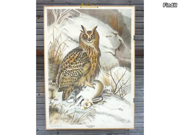 Myydään Wanhoja lintuaiheisia koulutauluja