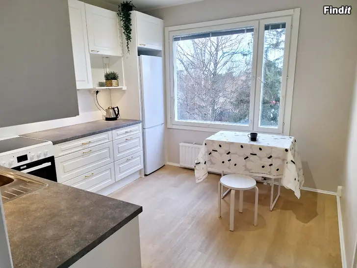 Vuokrataan Vuokralle tarjotaan 4h+k Palosaari, Vaasa