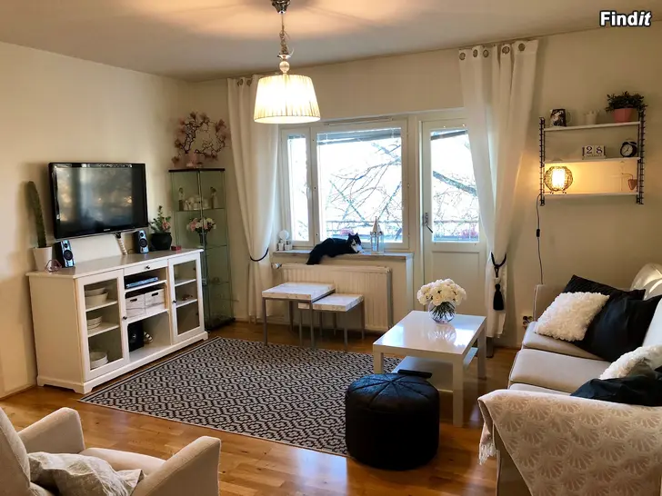 Uthyres Uthyres Ljus och trivsam 3h+k i Vasa centrum  64 m²
