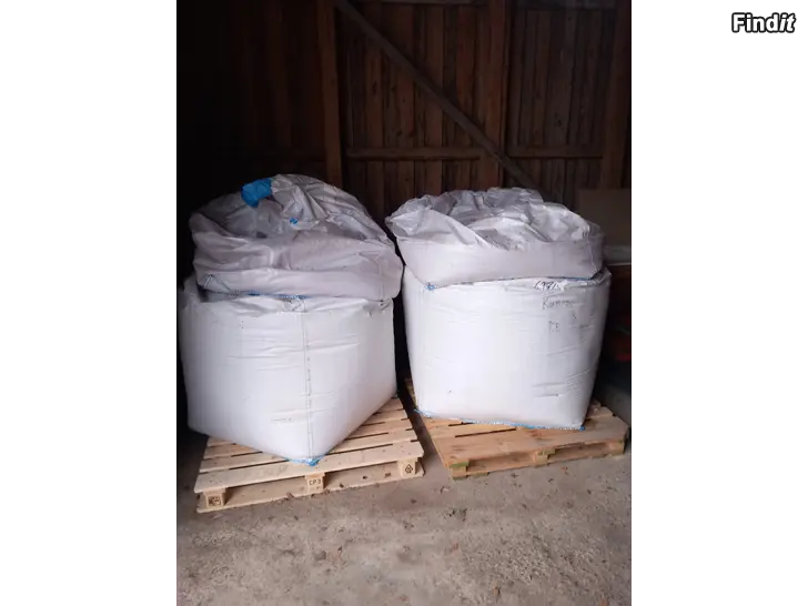 Säljes Säljes Toria utsäde