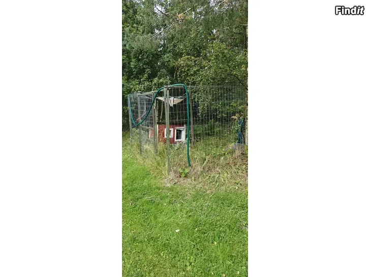 Säljes Hundhage