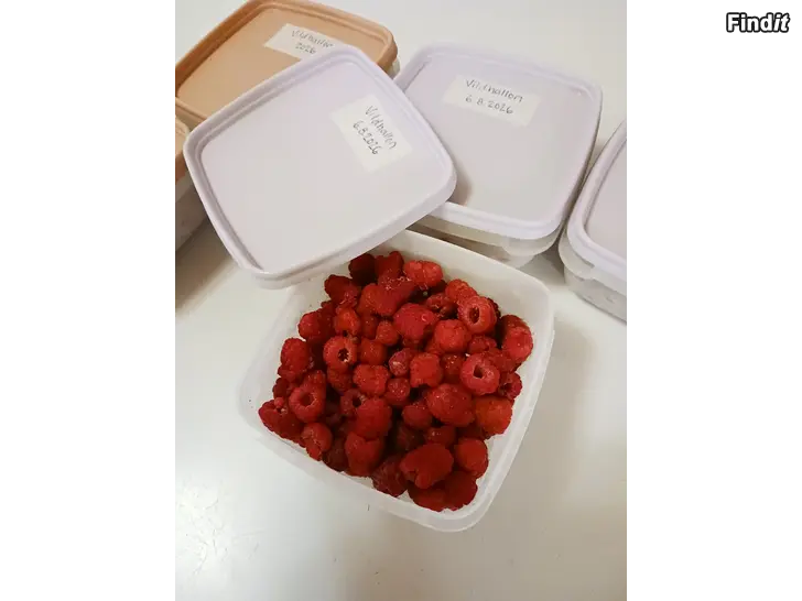 Säljes Vildhallon