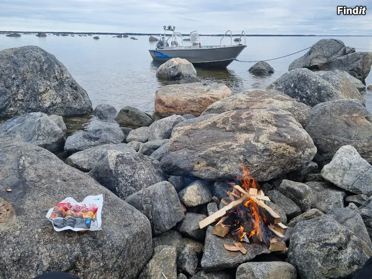 Myydään Caprera 530