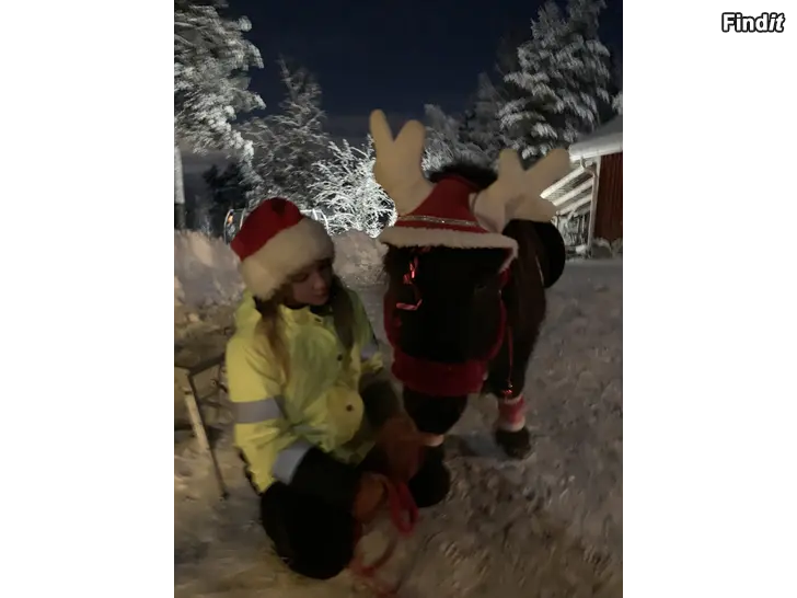 Uthyres Ponnyridning på julmarknader