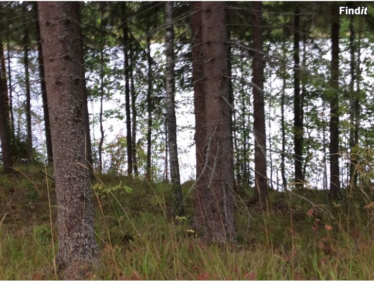Ostetaan Ostetaan tai vuokrataan pieni mummonmökki tai osake