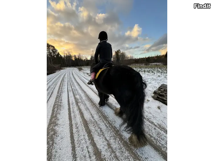 Myydään Terrängtur