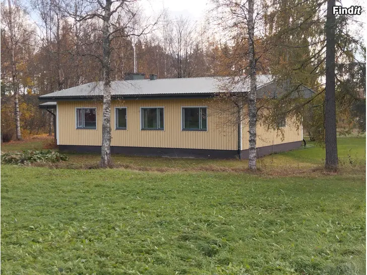 Bortges Fönster bortges