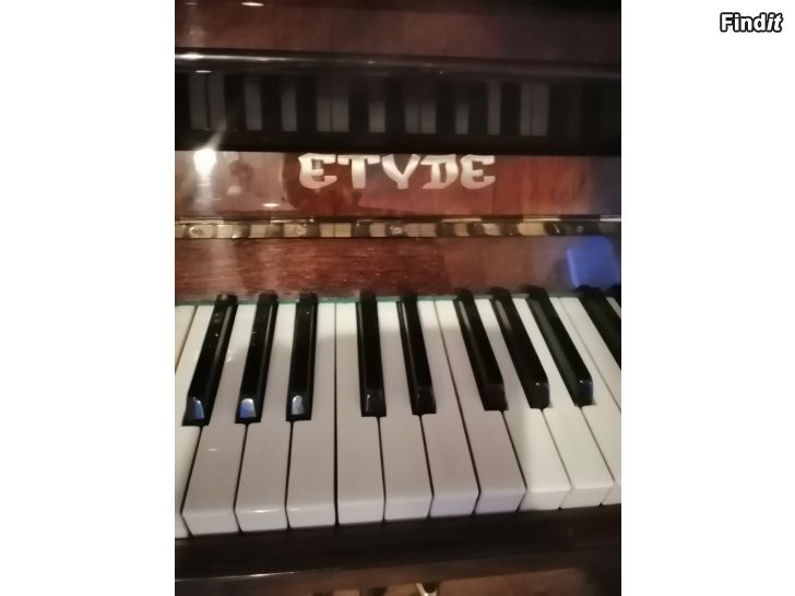 Bortges Etyde piano