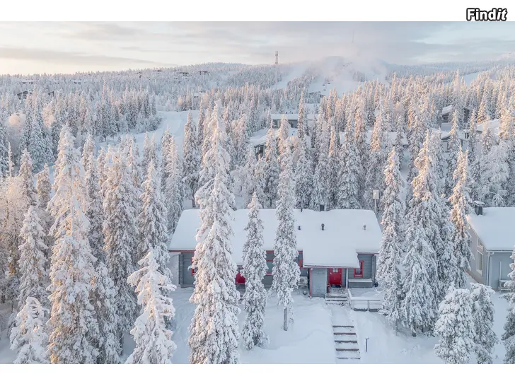 Vuokrataan RUKA Vuosseli