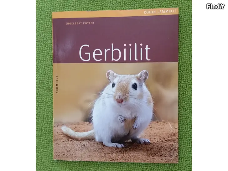 Myydään Gerbiilit kodin lemmikit Gummerus -hinta 5e