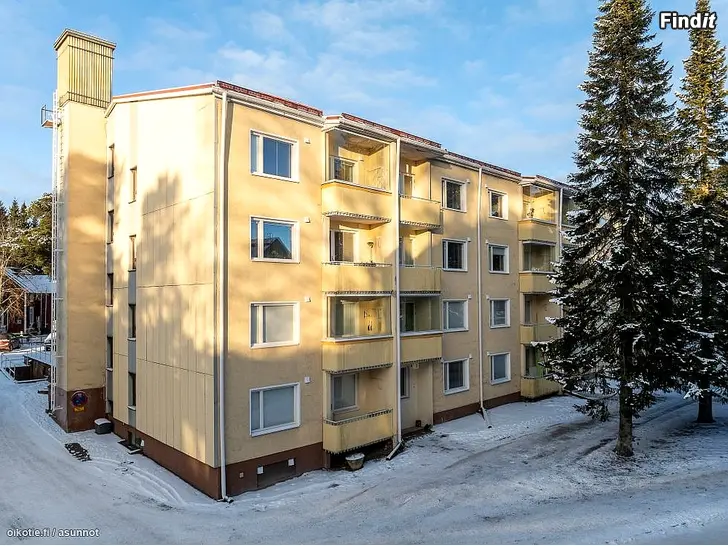 Vuokrataan Hienokuntoinen kaksio Palosaarelta