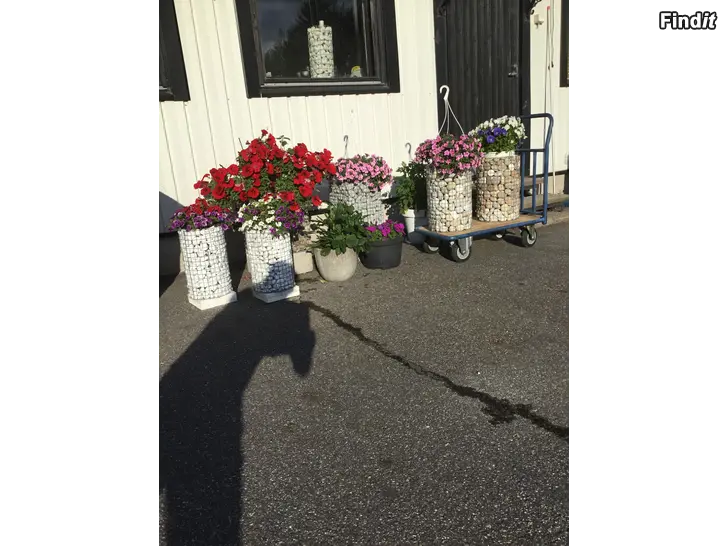 Säljes Blomster o Marschall Gabioner
