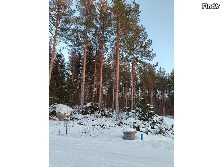 Myydään Tomt i Kackur