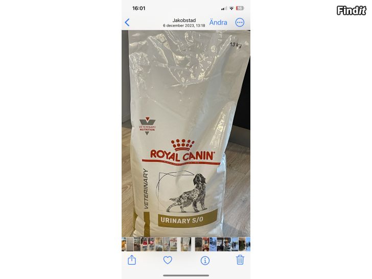 Säljes Hundmat 9,6 kg Royal Canin Urinary S/O