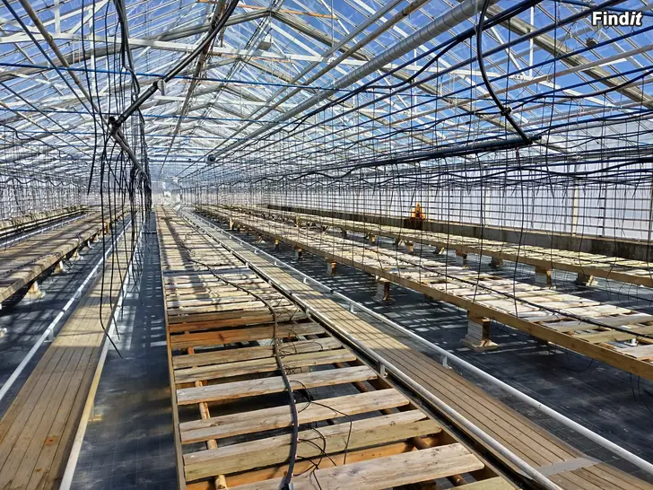 Säljes växthus anlägning i pörtom säljes