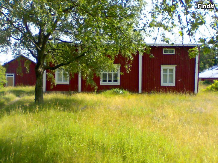 Säljes Äldre Bondgård, Ek.Byggnader Tomt 1,23ha,skog,åker