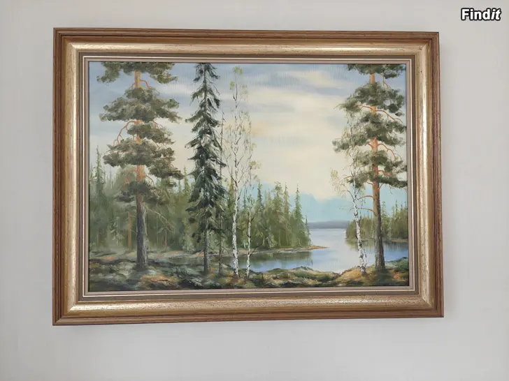 Säljes Tavla målad av Tapio Junnonen 1991