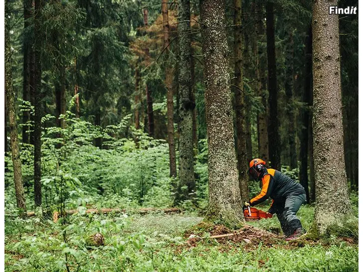 Säljes Echo kampanj