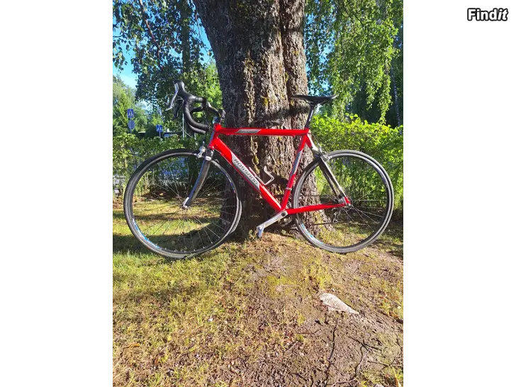Myydään Rossano Road carbon M