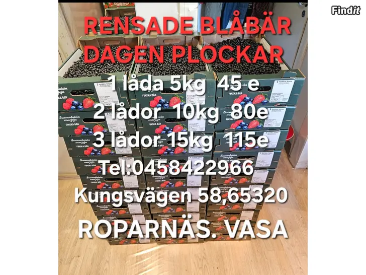 Säljes RENSADE BLÅBÄR DAGENS PLOCKA. ROPARNÄS. VASA