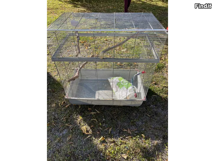 Säljes Stor fågelbur / djurbur med tillbehör