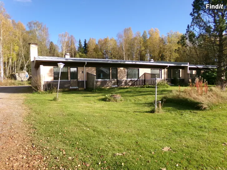 Myydään Kaksi Rivitaloa Huutokaupataan