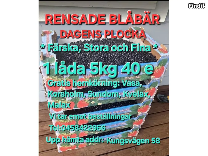 Säljes STORA OCH FINA BLÅBÄR DAGENS PLOCKA