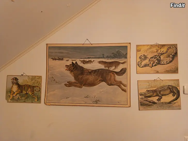 Säljes GAMLA SKOLPLANSCHER