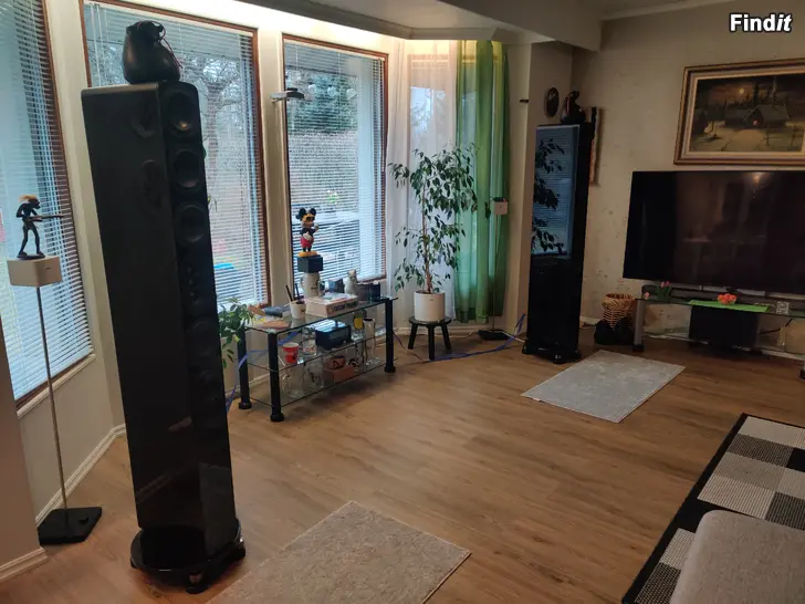 Myydään Aurelia graphica