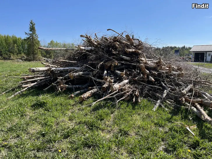 Myydään Polttopuu/energiapuu