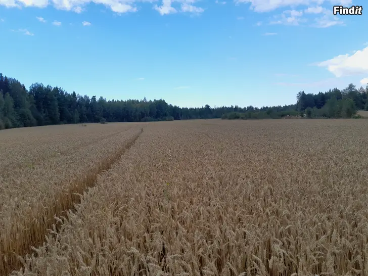 Säljes Pelto/Åker