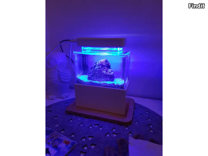 Myydään Mini complete tank