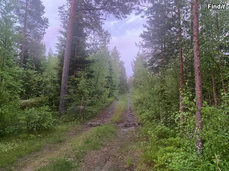 Säljes Stor tomt på Särkimo hällorna