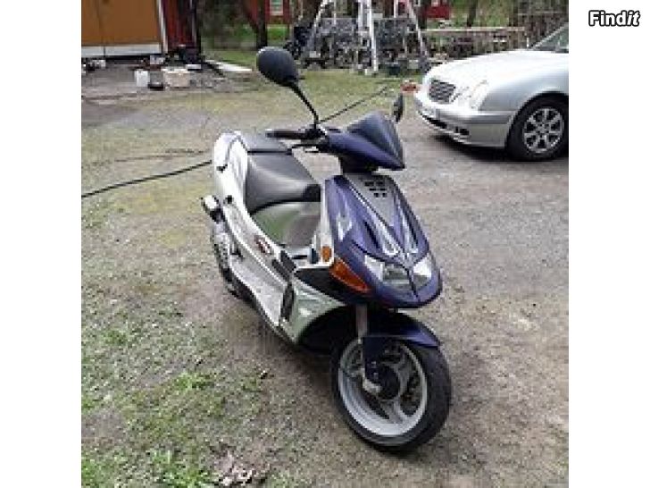 Myydään Derbi Predator 50LC